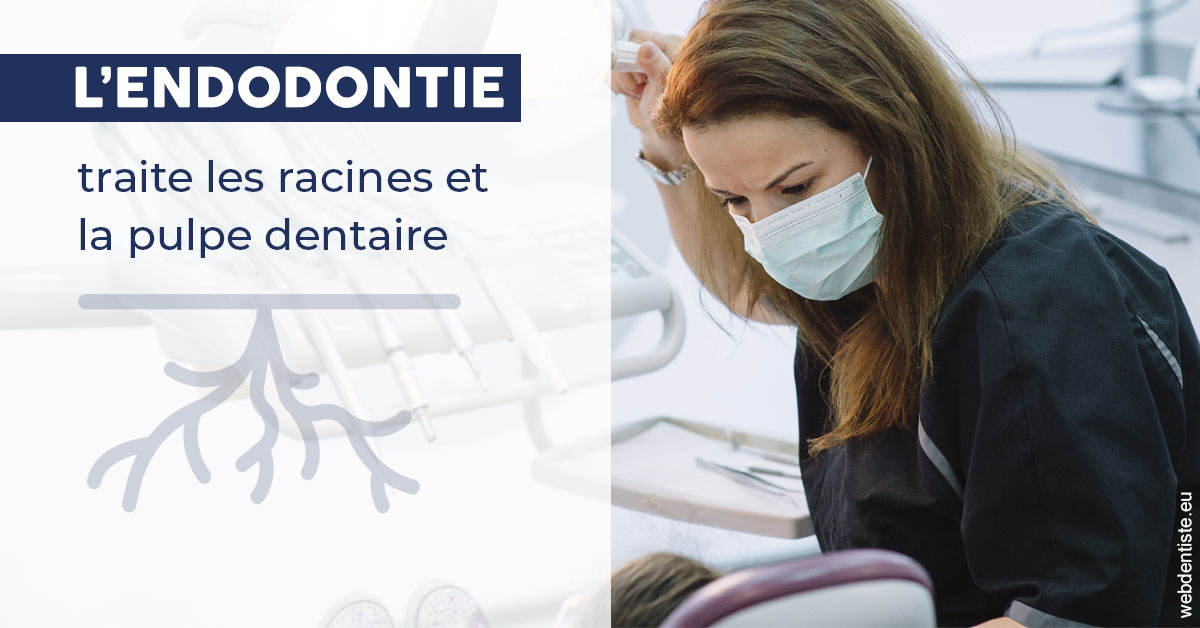https://dr-aubry-marie-pierre.chirurgiens-dentistes.fr/L'endodontie 1