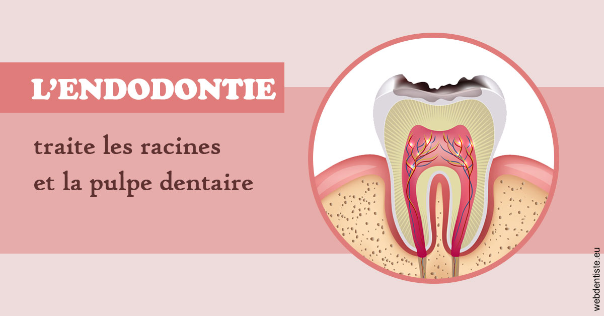 https://dr-aubry-marie-pierre.chirurgiens-dentistes.fr/L'endodontie 2
