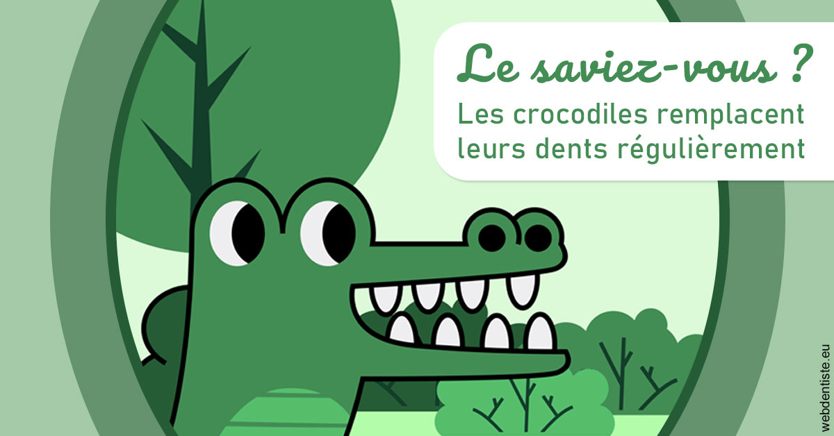 https://dr-aubry-marie-pierre.chirurgiens-dentistes.fr/Crocodiles 2