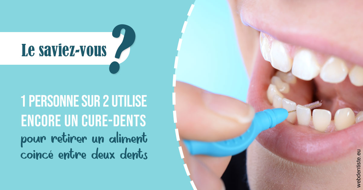 https://dr-aubry-marie-pierre.chirurgiens-dentistes.fr/Cure-dents 1
